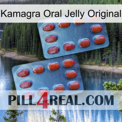 Kamagra Oral Jelly Original 05